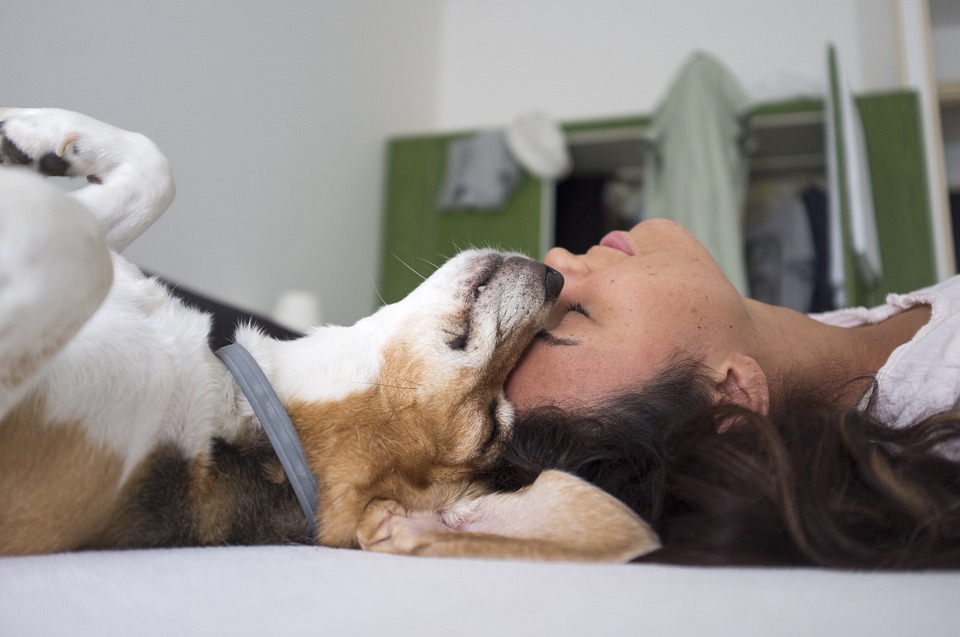 chien qui dort avec sa maitresse